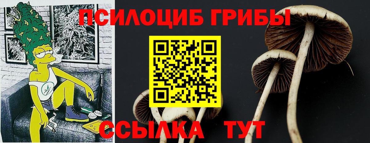 Галлюциногенные грибы Psilocybe  Вход с VPN  Электросталь 